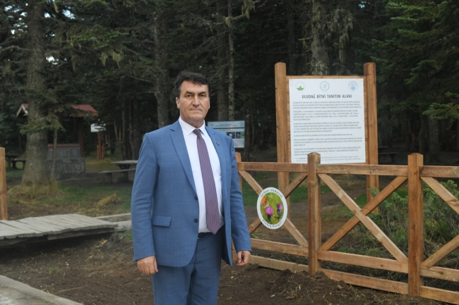 Uludağ endemik parklarla dünyaya açılacak